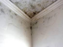 Best Real Estate Mold Inspection  in Mansfield, PA