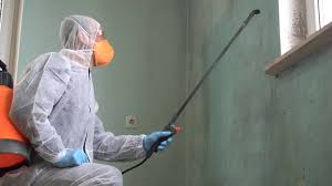 Best Comprehensive Air Testing for Mold Contaminants  in Mansfield, PA